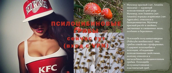 скорость Алексин